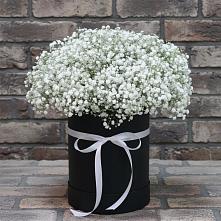 Цветочная композиция из Гипсофила в шляпной коробке в Хлюпино