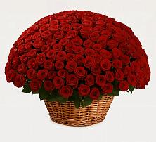 Премиум букет из: Розы в Хлюпино